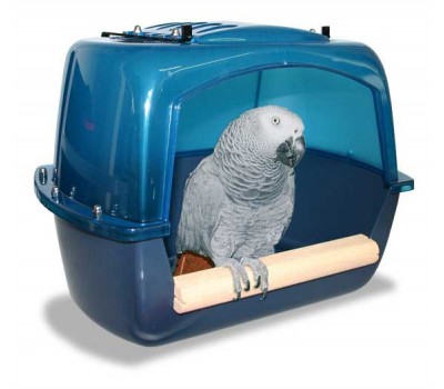 Bath parrots